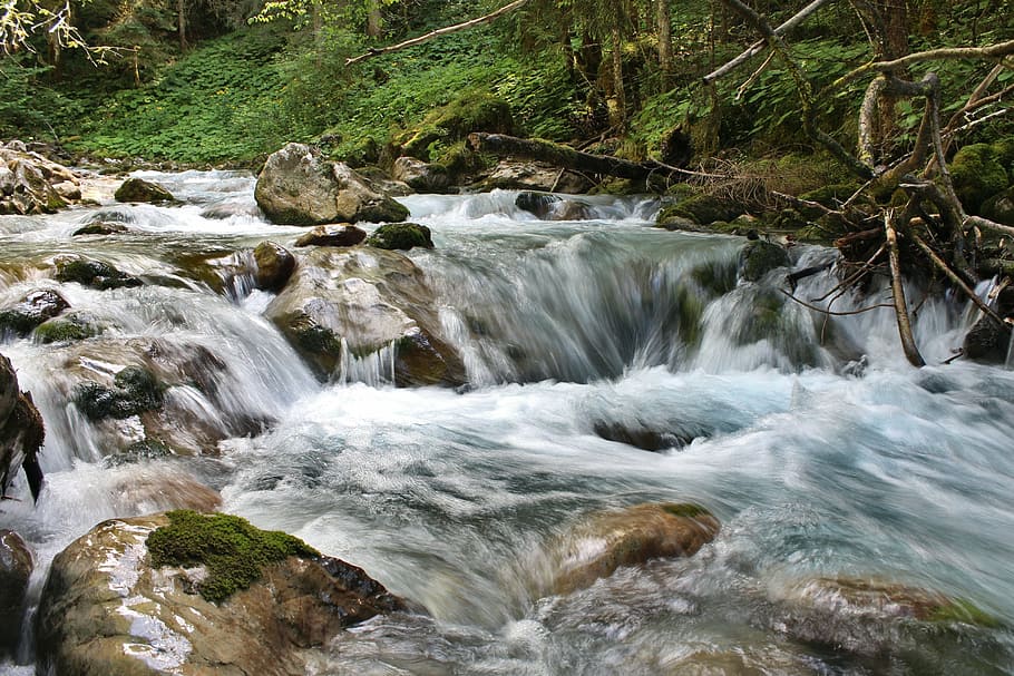 bach, water, stones, wave, flow, clear, murmur, landscape, nature HD wallpaper