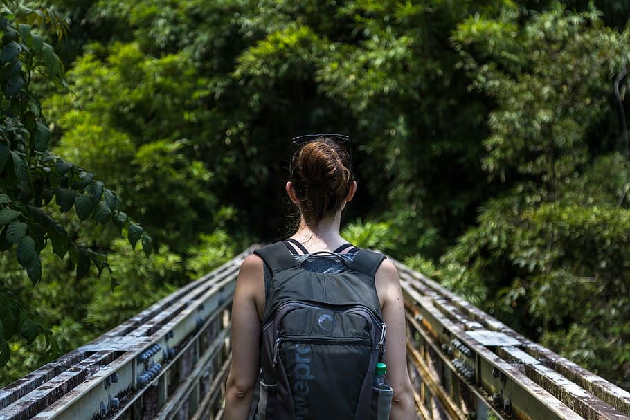 woman carrying backpack walking on bridge, nature, outdoors, forest HD wallpaper