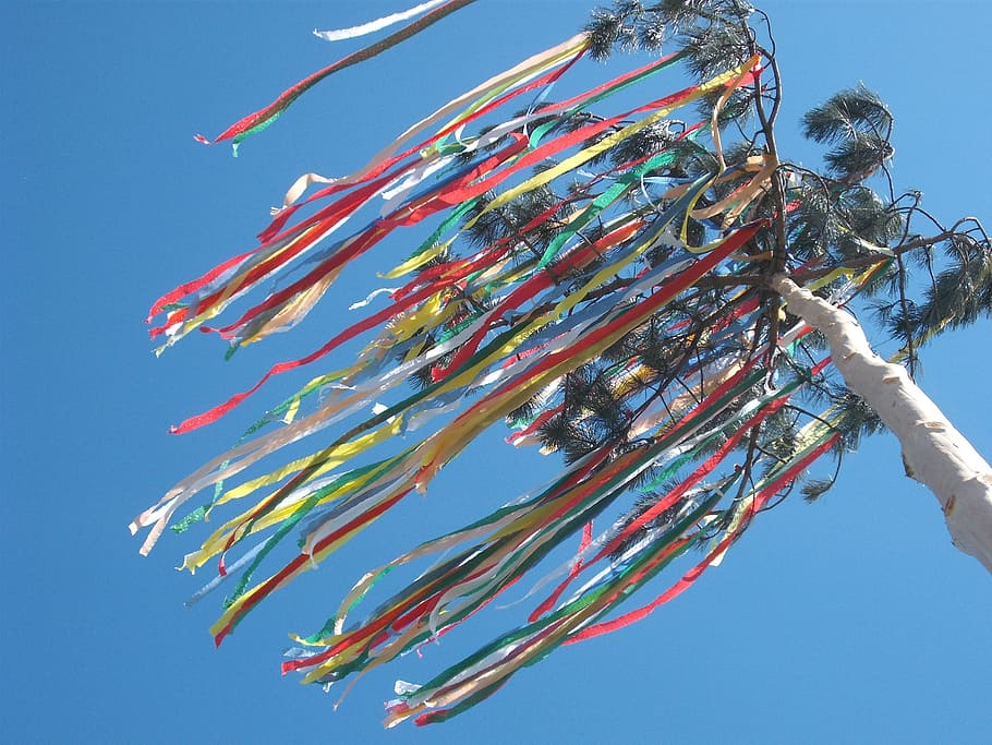 maypole, celebration, tree, holiday, decoration, festive, ornament HD wallpaper