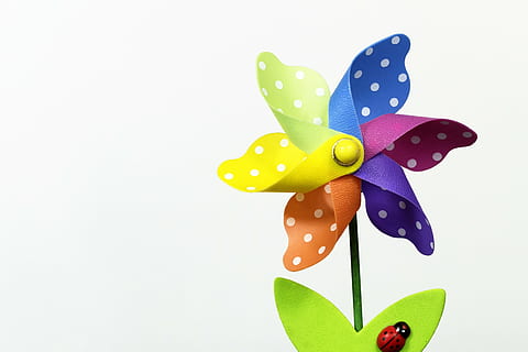 multicolored polka-dot garden windmill, colourful, flowers HD wallpaper