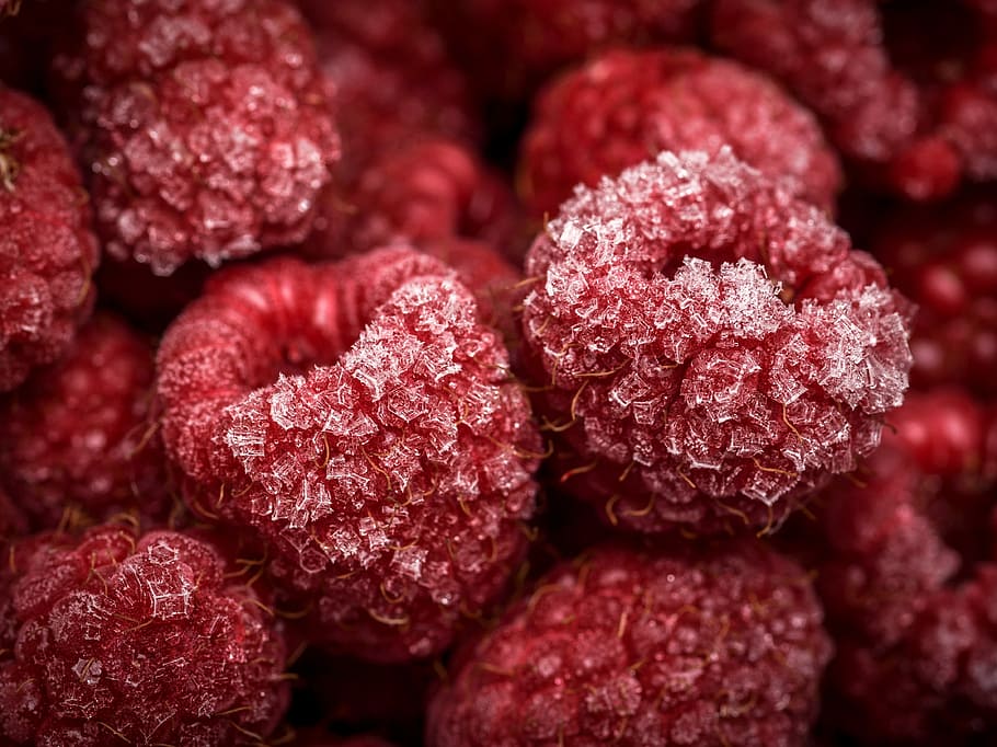 close-up photo of red fruits, closeup photography of round red fruits HD wallpaper