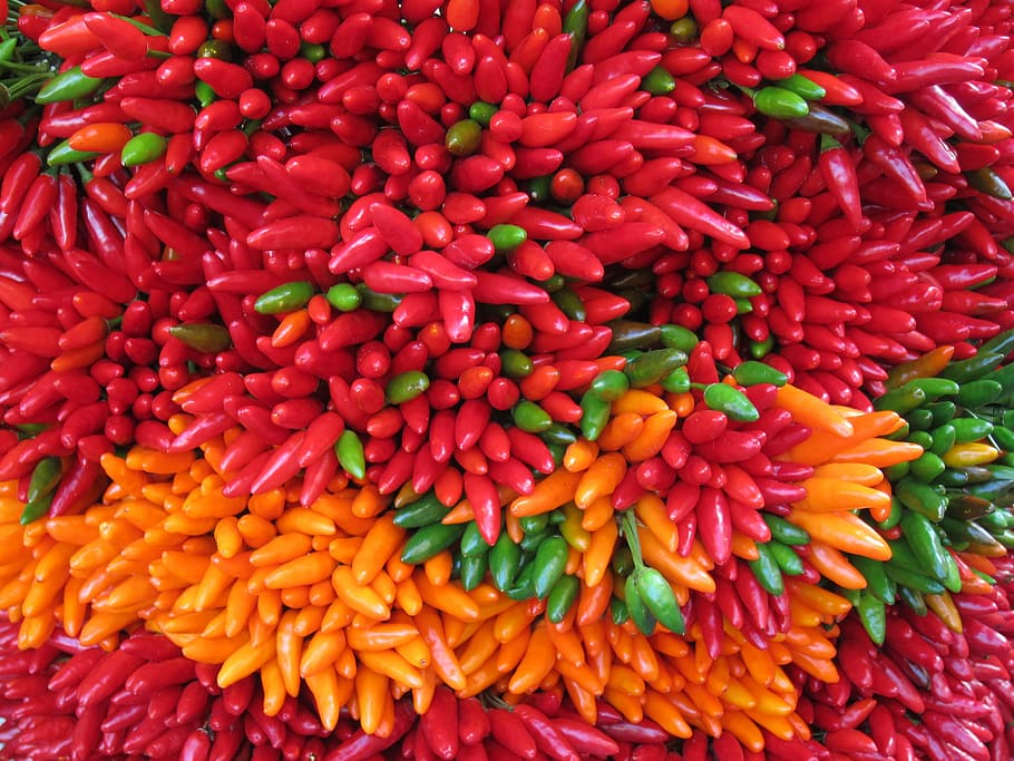 Chilli Pepper, Sharp, fiery, red, multi Colored, food, close-up HD wallpaper
