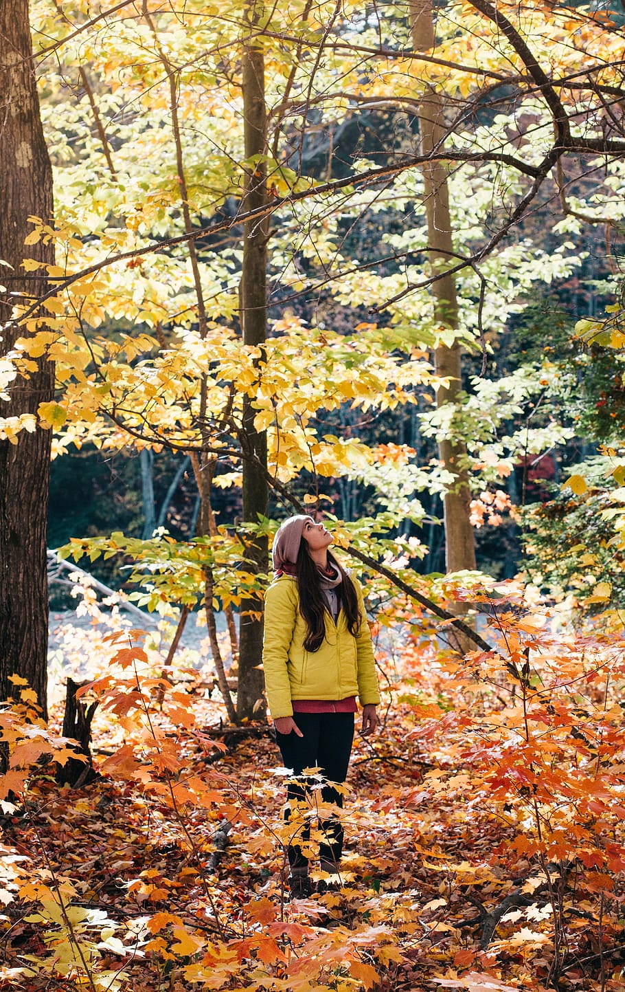 woman standing looking above surrounded by trees, yellow, jacket HD wallpaper