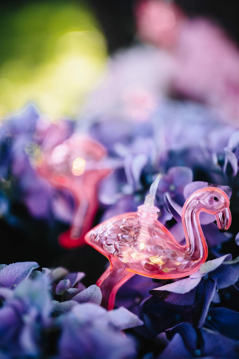 Flamingo light garland & pink flowers, summer, lamp, fun HD wallpaper