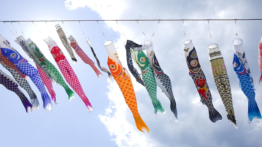 sky, carp, japan, fish, vivid, landscape, japanese style, carp streamer, HD wallpaper