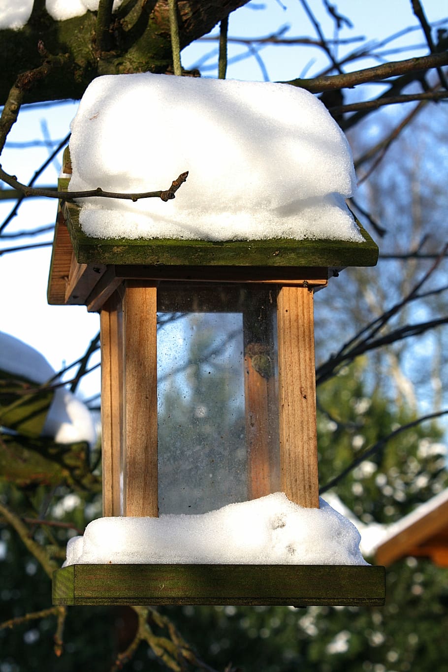 bird, feeder, winter, snow, garden, nature, outdoor, wildlife HD wallpaper