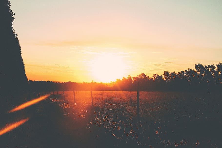 Sunset, Dusk, Sun Rays, Landscape, nature, trees, sky, rural HD wallpaper