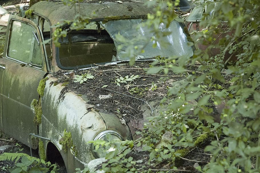Auto, Car, Cemetery, Oldtimer, Stainless, car cemetery, stainless karre HD wallpaper