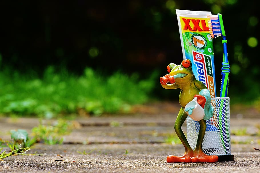 green frog beside toothpaste and toothbrush, brushing teeth, hygiene, HD wallpaper