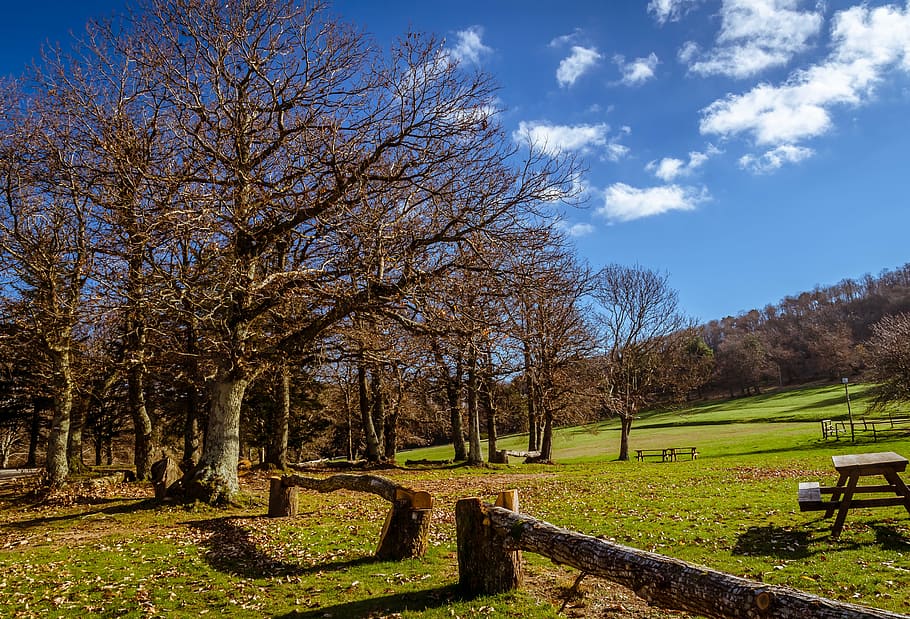 landscape, trees, nature, mountain, prato, clouds, outdoors HD wallpaper