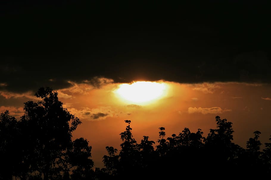 sunset, bright, separation, dark, orange, glow, trees, sky HD wallpaper