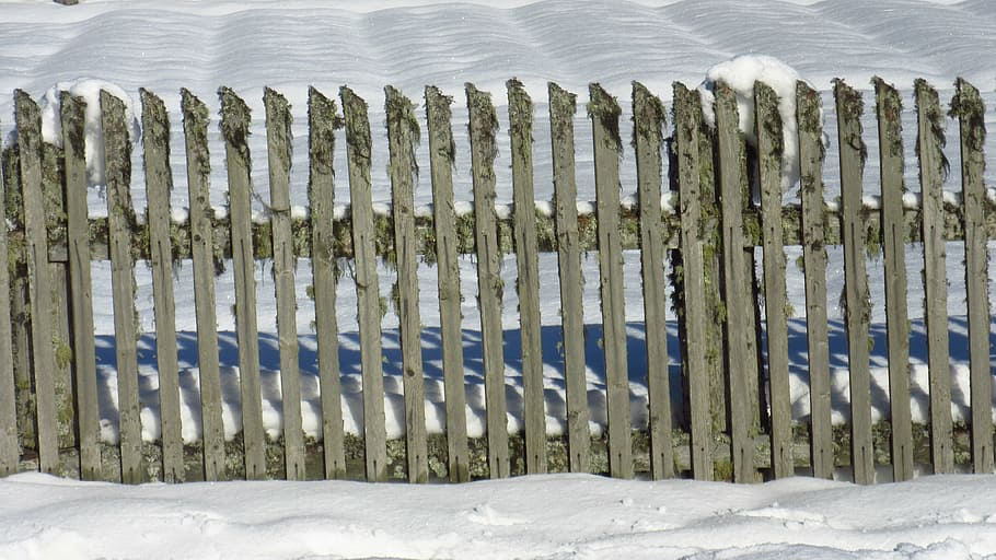 fence, snow, wood fence, paling, garden fence, delimit, separate, HD wallpaper