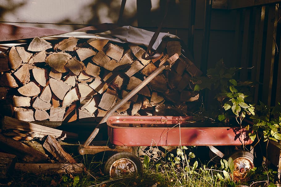 container, firewood, grass, wagon, old, old-fashioned, outdoors HD wallpaper