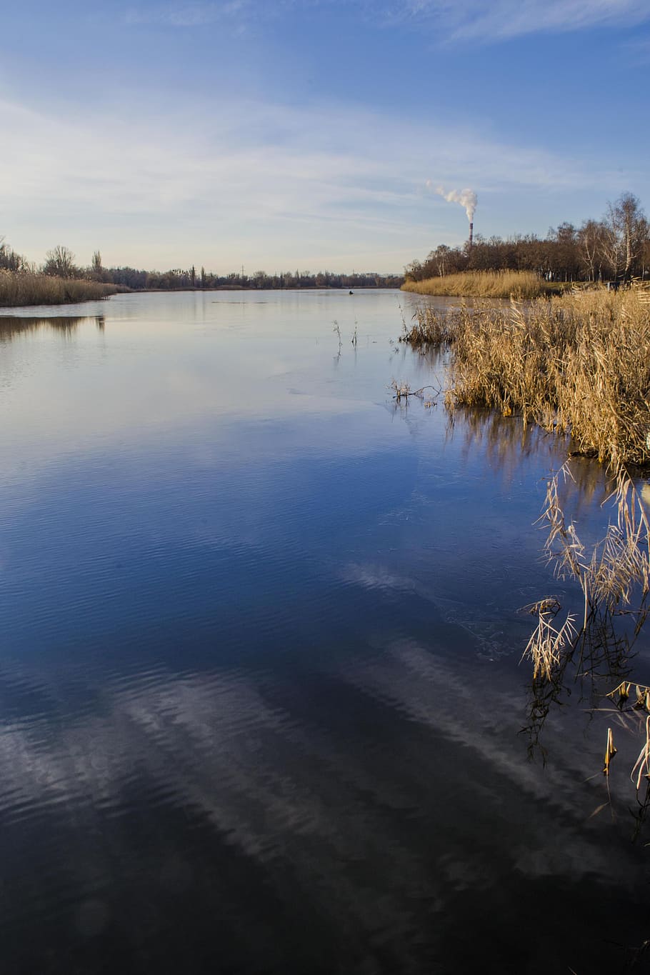 river, for, shore, water, reed, sky, clouds, back on track HD wallpaper