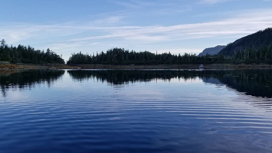 alaska, ocean, scenery, water, tree, sky, waterfront, scenics - nature HD wallpaper