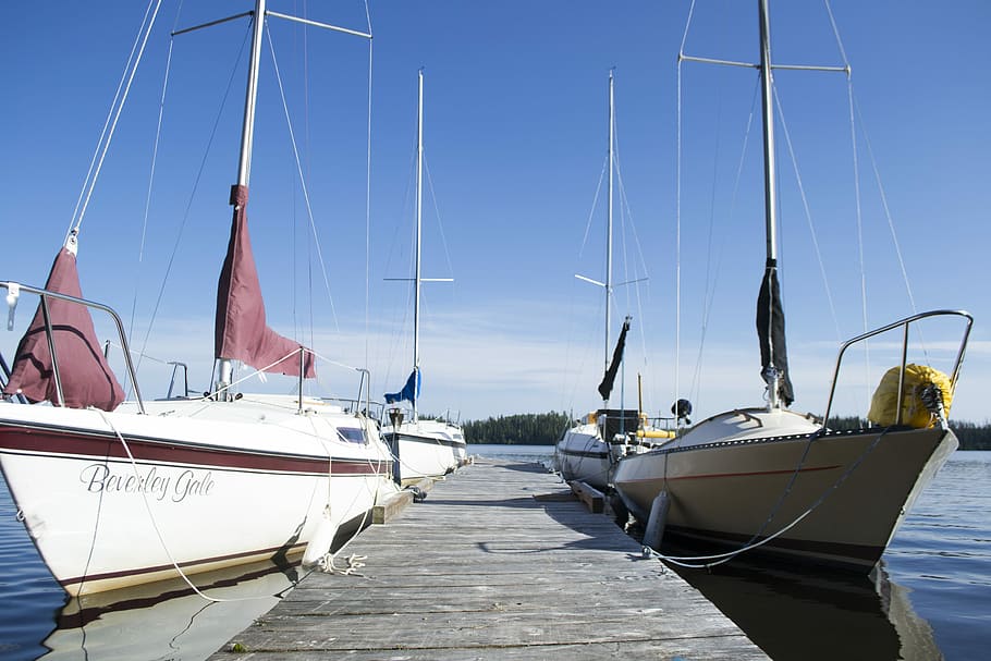 Boat, Boating, North, Canada, Caribou, water, travel, nature, HD wallpaper