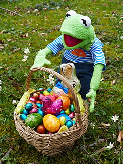 Kermit frog plush toy near basket of Easter eggs, search, osterkorb HD wallpaper