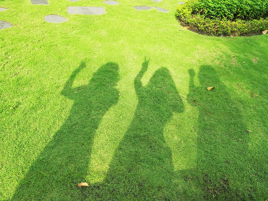 Shadow, Girls, Grass, Green, Female, dark, pose, hands, bright HD wallpaper