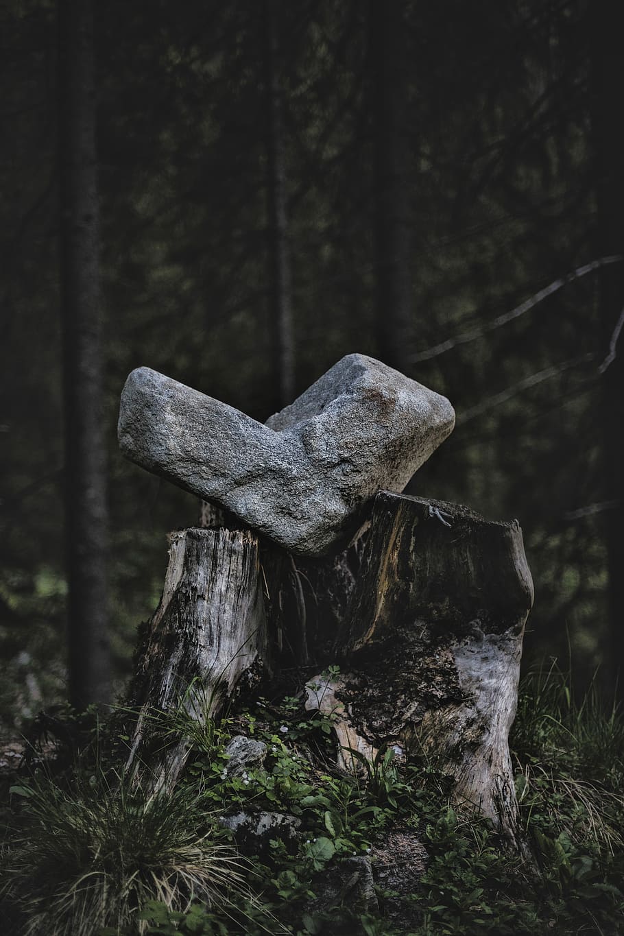 gray rock on tree stump, gray rock fragment on tree log, stone, HD wallpaper