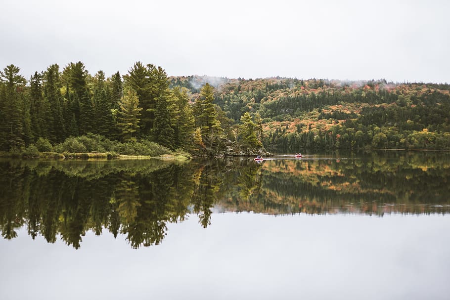 lake in forest under white sky nature photography, photo of body of water surrounded with trees during daytime HD wallpaper