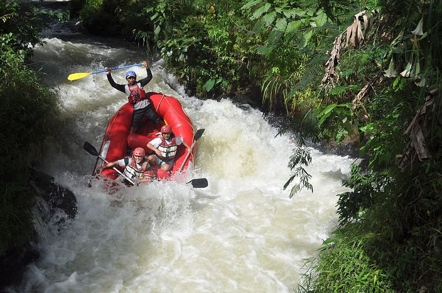 group of men playing inflatable kayak on cascade waterfalls between trees HD wallpaper