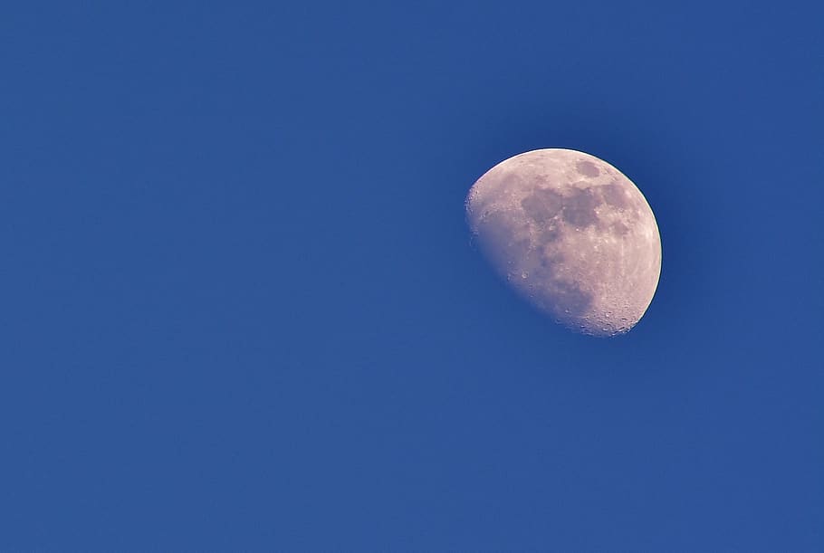 moon, sky, luna, astronomy, space, night, blue, clear sky, beauty in nature HD wallpaper