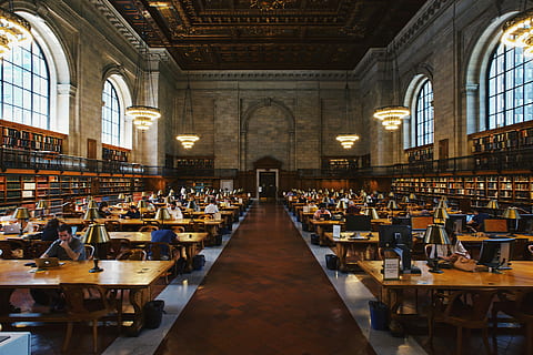 group of people inside the library, man sitting on brown chair reading book HD wallpaper
