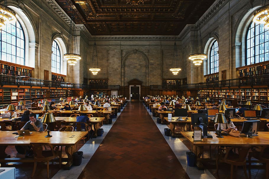group of people inside the library, man sitting on brown chair reading book HD wallpaper