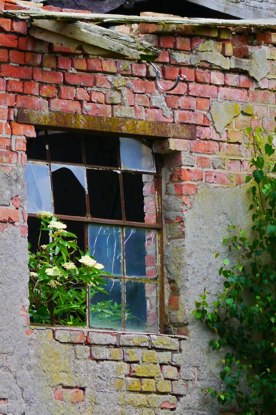 home, old, facade, lapsed, old building, old window frames HD wallpaper