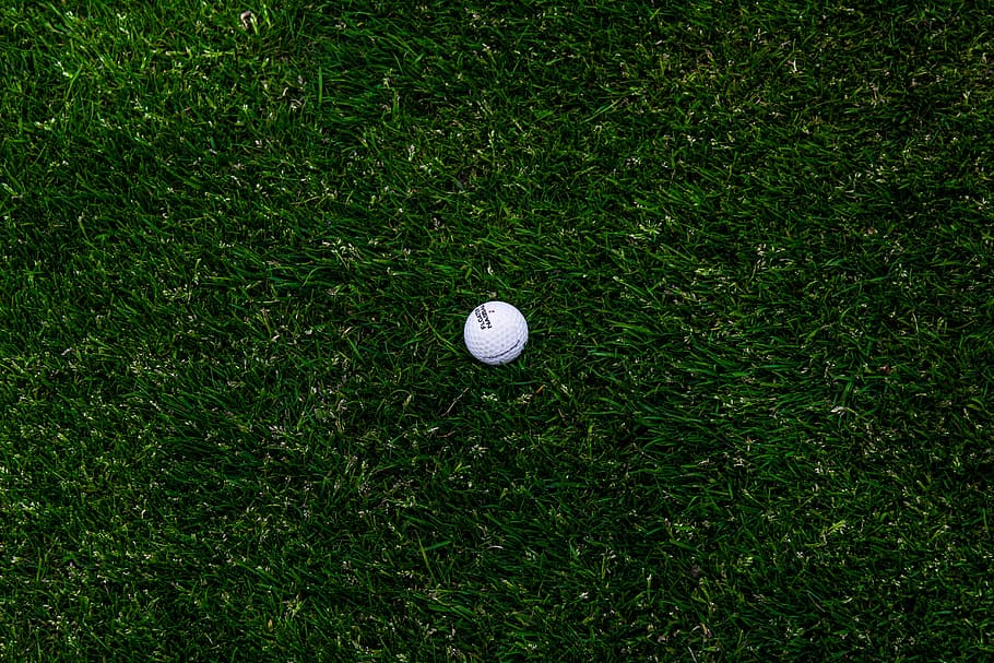 white golf ball, golf ball on green grass field, practice, athletic HD wallpaper