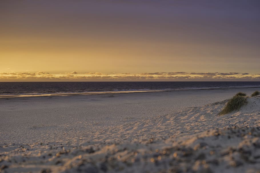 Denmark, Jutland, Danish, Coast, Landscape, danish coast landscape