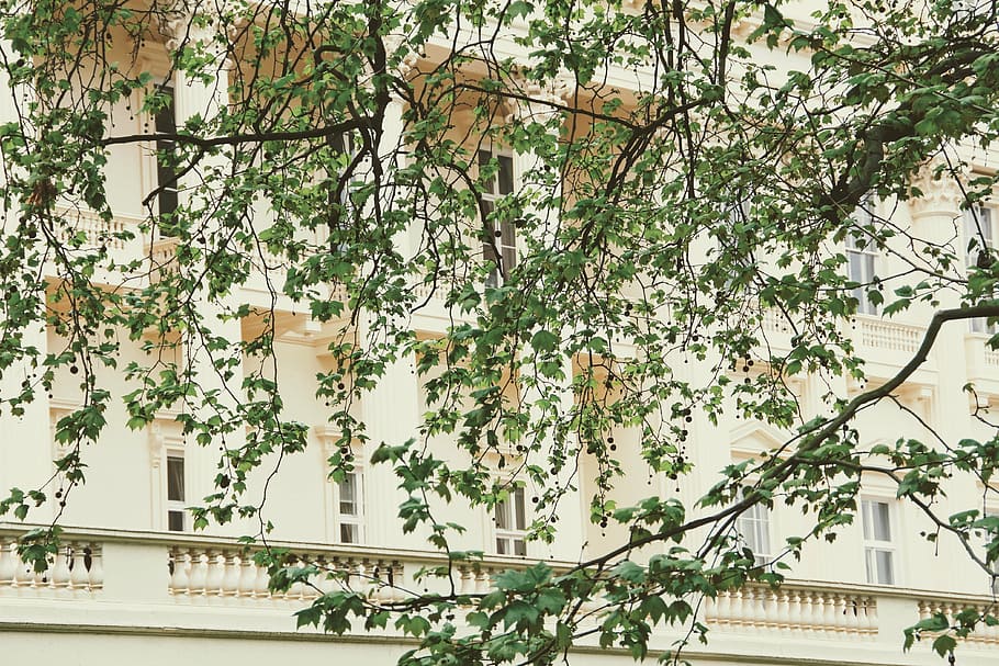 facade, tree, image, building, architecture, home, house facade HD wallpaper