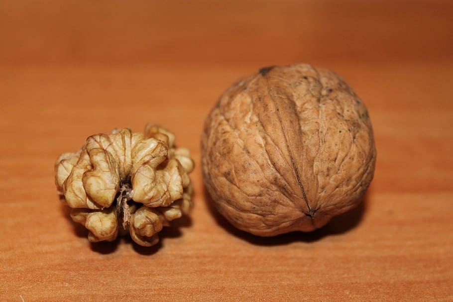 walnut, nuts, walnuts, close, autumn, brain, naturkost, advent HD wallpaper