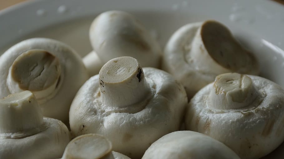 mushroom, vegetable, cooking, raw, cuisine, fungi, plate, kitchen HD wallpaper