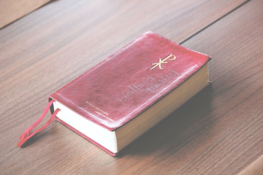 red book, bible, old, paper, pages, testament, religion, sheet, HD wallpaper