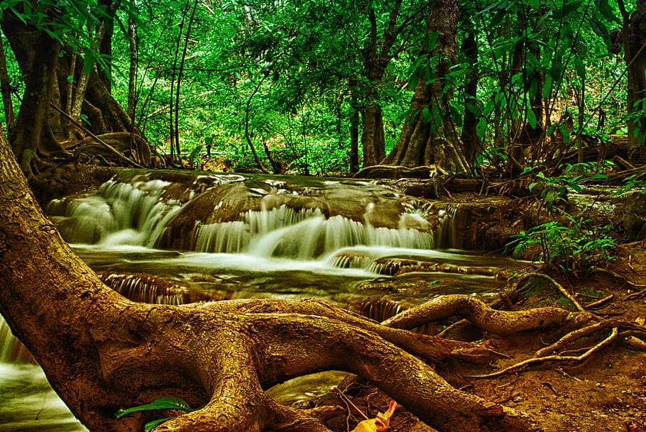 timelapse photo of forest river, tree, waterfall, nature, national-park HD wallpaper