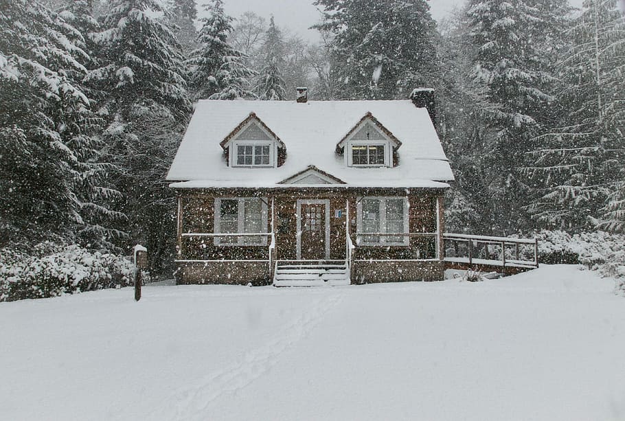house filled with snow, snow covered house near the forest, home
