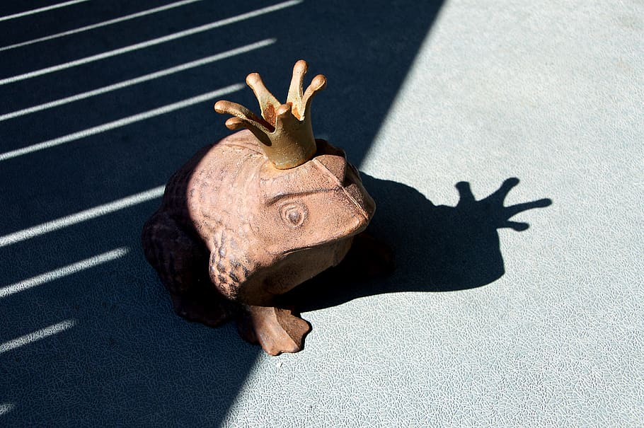 brown ceramic frog figurine, shadow, crown, thoughtful, light HD wallpaper