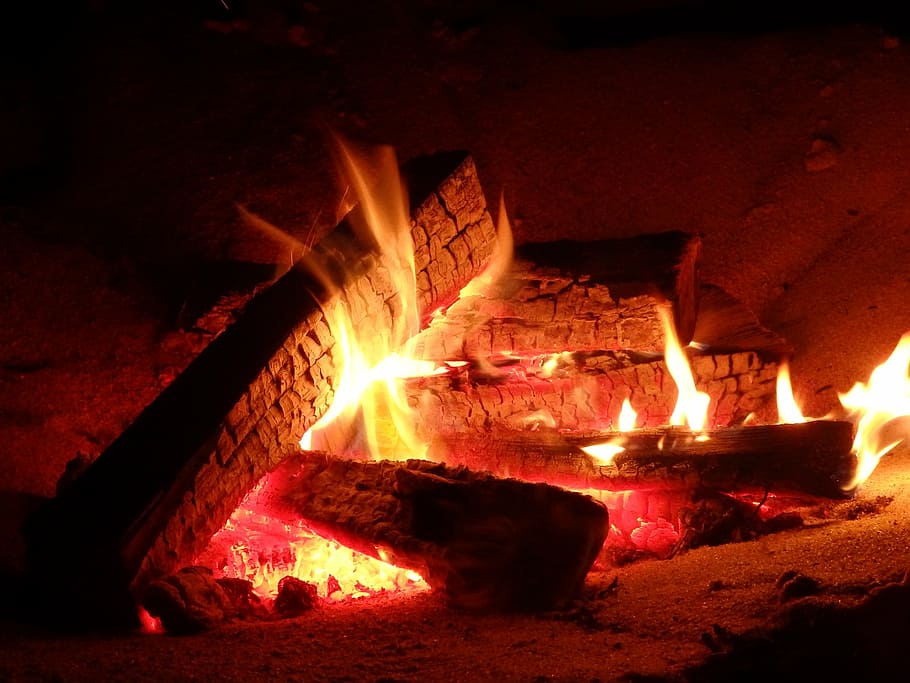 close up photo of bonfire, crackle, campfire, logs, flame, heat HD wallpaper