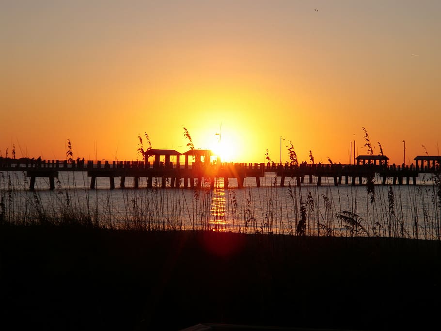 sunset, pier, reeds, beach, summer, water, outdoor, ocean, sea HD wallpaper