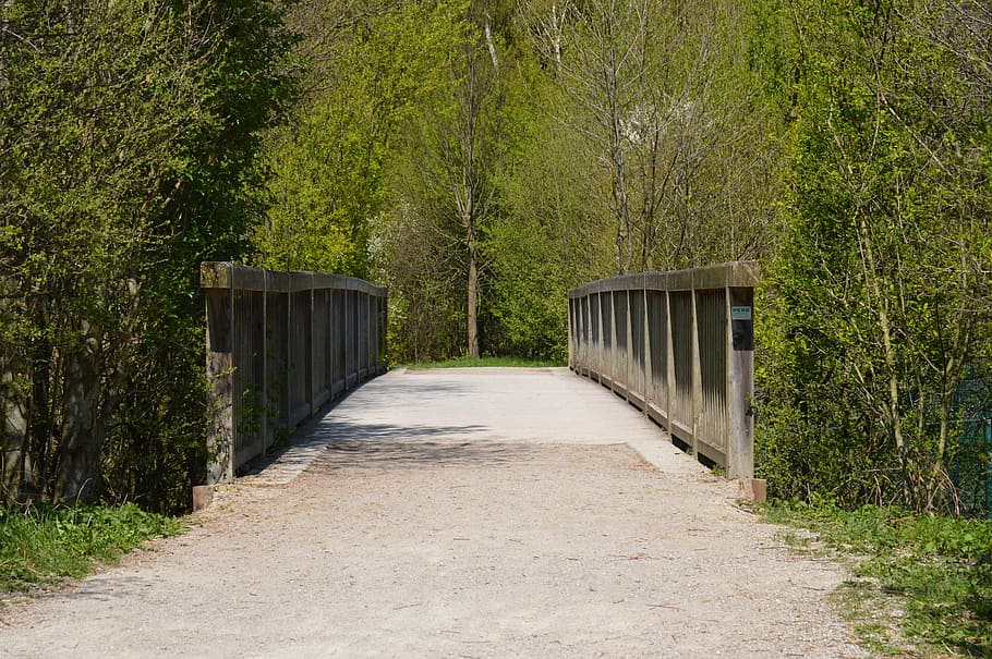 bridge, forest, scenic, nature, footpath, tree, outdoors, plant HD wallpaper
