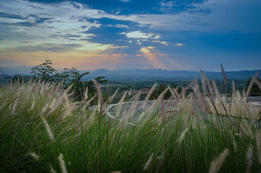 Sunset, Dusk, Landscape, Evening, twilight, cloud, nature, grass HD wallpaper