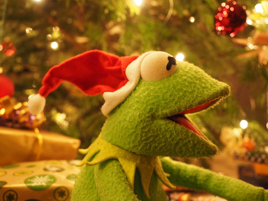 kermit, frog, christmas frog, santa claus, cheerful, funny, HD wallpaper