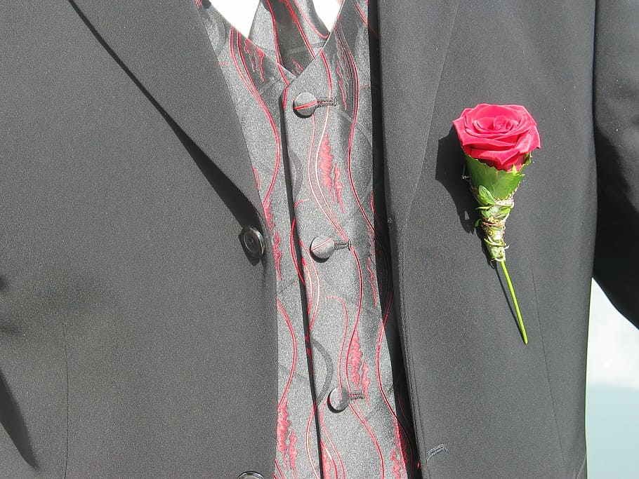 Badges, Lapel, Red, Suit, rose, flower, pink color, outdoors HD wallpaper