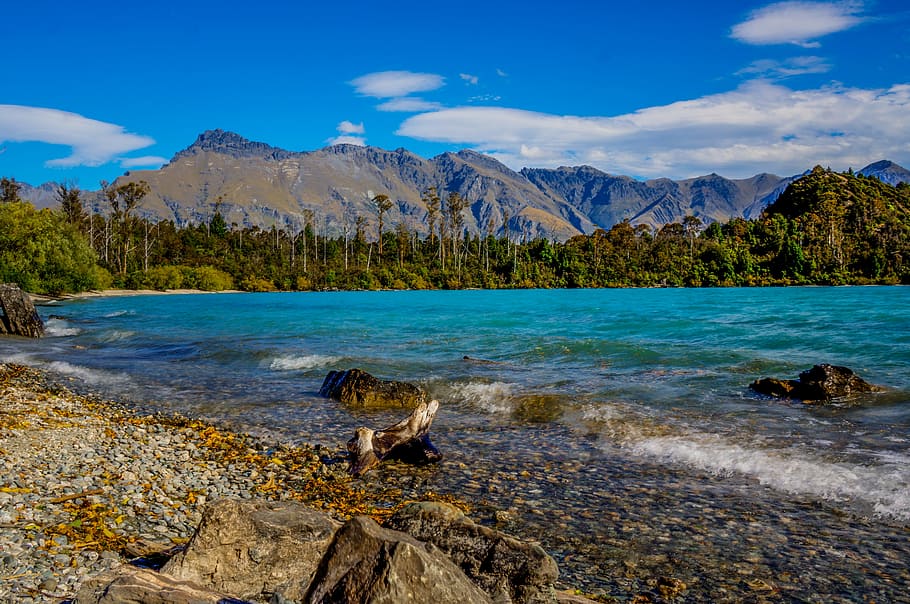 body of water during daytime photo, bob's cove, new zealand, lake, HD wallpaper