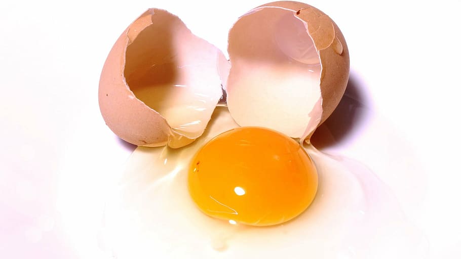yellow native egg yolk, eggs, food, healthy, cooking, breakfast, HD wallpaper