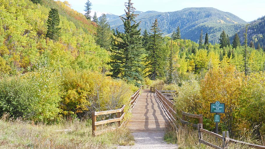 Foot Bridge, Trail, Wooden Bridge, trail bridge, hiking, nature, HD wallpaper