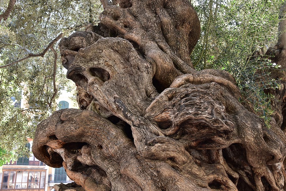 tree, ghost, nature, plant, day, sculpture, art and craft, representation HD wallpaper