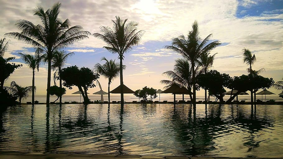 calm body of water near coconut trees, beach, bali, indonesian HD wallpaper