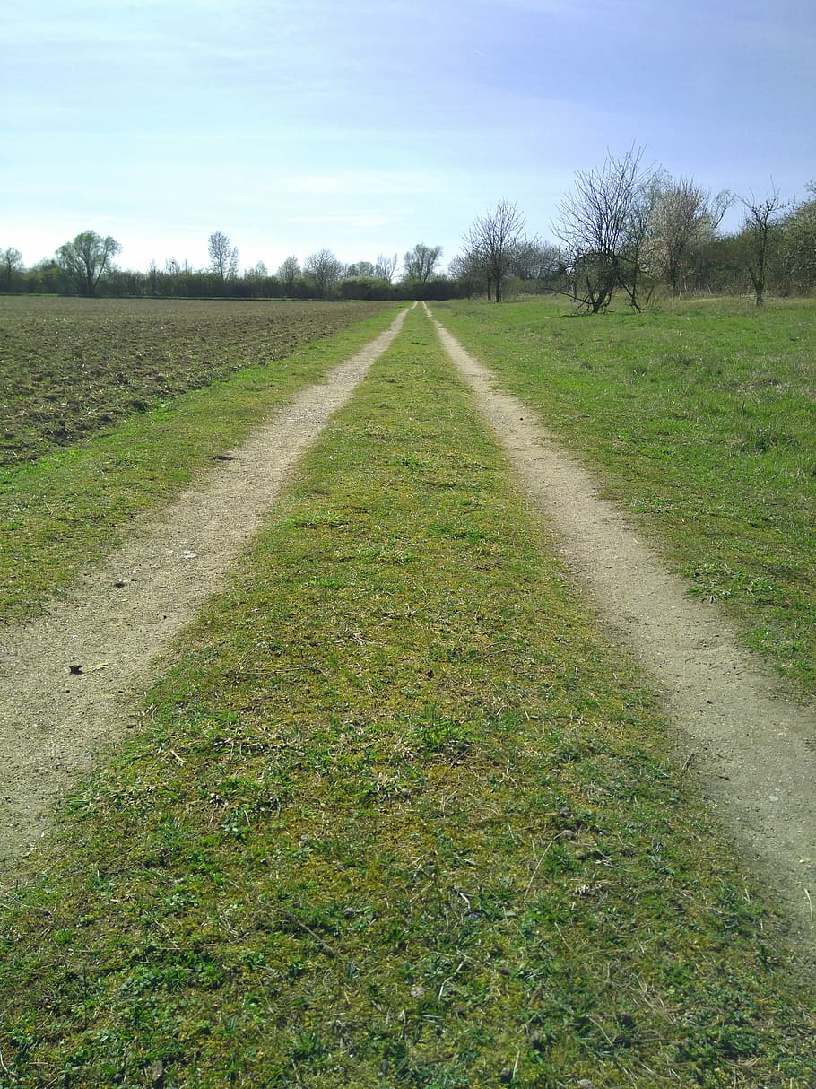 way, field, country, path, farm lane, country lane, grass, blue HD wallpaper